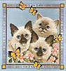 Butterfly Cats