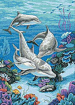 The Dolphin's Domain kit