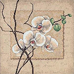 Oriental Orchids kit
