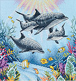 Dolphin Morning kit