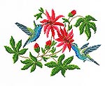 Hummingbirds