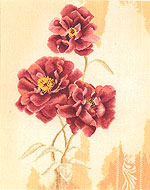 Dream Poppy