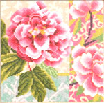 Composition of Rose Flowers
