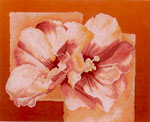 Abstract With Pink Chinese Rose